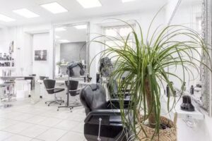 Salon de BEAUT&Eacute; par Laure Visagisme