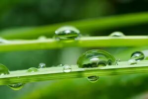 C by C Coiffure BIO &ndash; Ch&acirc;tel-St-Denis