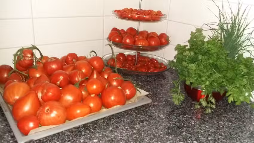 Acconciatura chic tifs