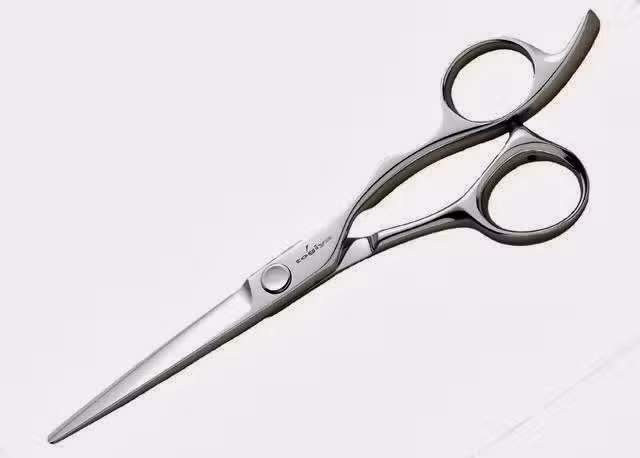 Ciseaux JaponaisTogiya &ndash; akihiro