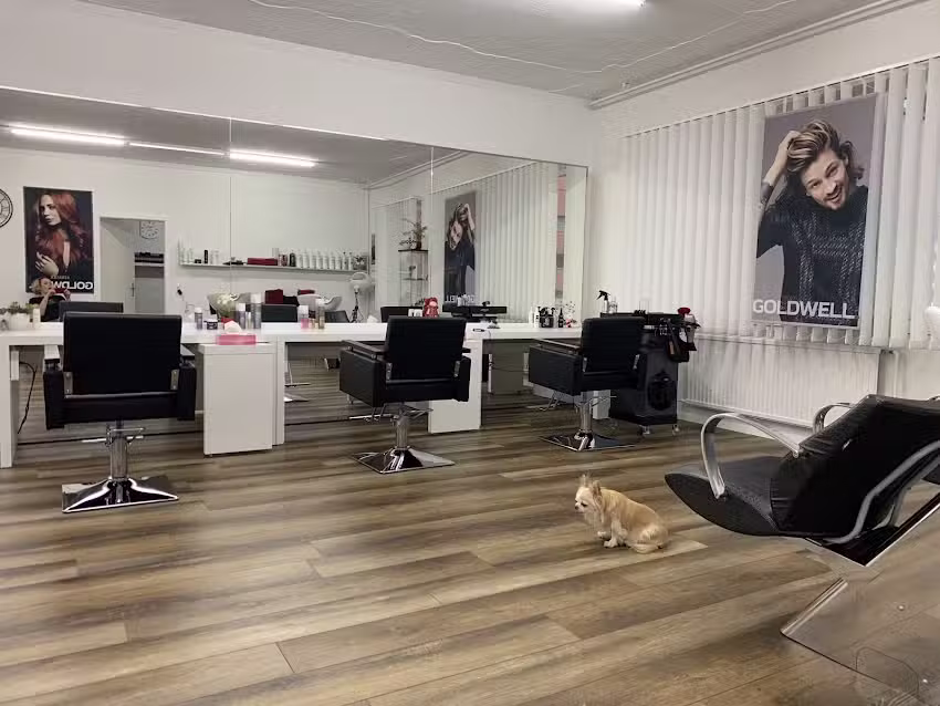 Coiffeur Haarley &ndash; Ostermundigen