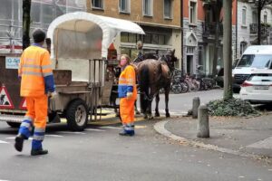 Coiffeuse Fabienne M&uuml;ller