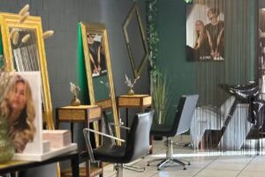 Parrucchiere Artista dei capelli