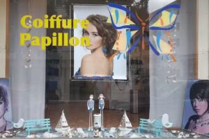 Coiffeur papillon