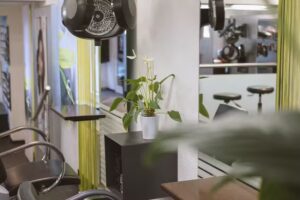 Salon de coiffure Steiner