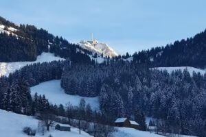 Coiffeure Haar-genau