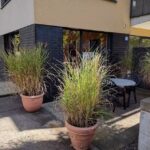 Coiffeursalon Carmen