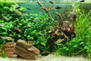 Salone di parrucchiere Smile Hair