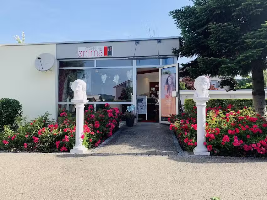 Coiffure Anima