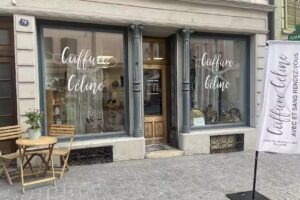 Acconciatura C&eacute;line