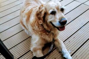 Salone di Parrucchiere Gianfranco