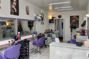 COIFFURE PLAINE DE STYLES