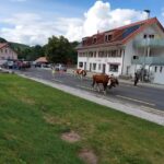 Cr&eacute;a&rsquo;tifs Coiffure