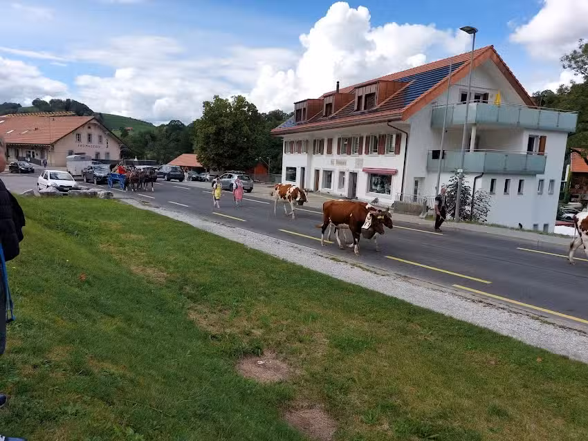 Cr&eacute;a&rsquo;tifs Coiffure