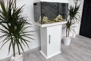 DOIGTS D&rsquo;OR COIFFURE