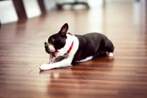 Franco Scir&eacute; Coiffure