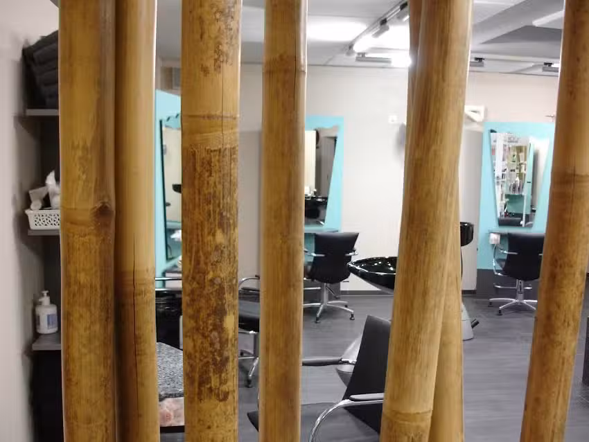 HAIR IN LUCK, PROPRI&Eacute;TAIRE : SANDRA FREIBURGHAUS