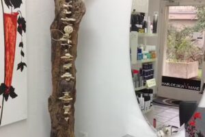 Acconciatura Viviane