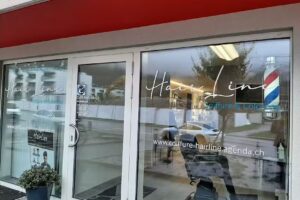 Naissance des cheveux