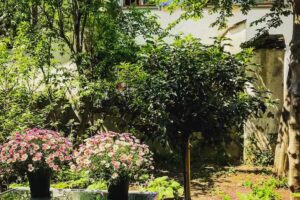 ACCONCIATURA GRAZIA BASEL