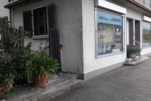 Hermann W&uuml;thrich