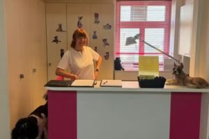 Salon de toilettage pour chiens au bord du lac, Salon Wuschelzauber