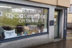 Salon de toilettage pour chiens