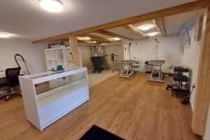 Salon de toilettage pour chiens Fellart