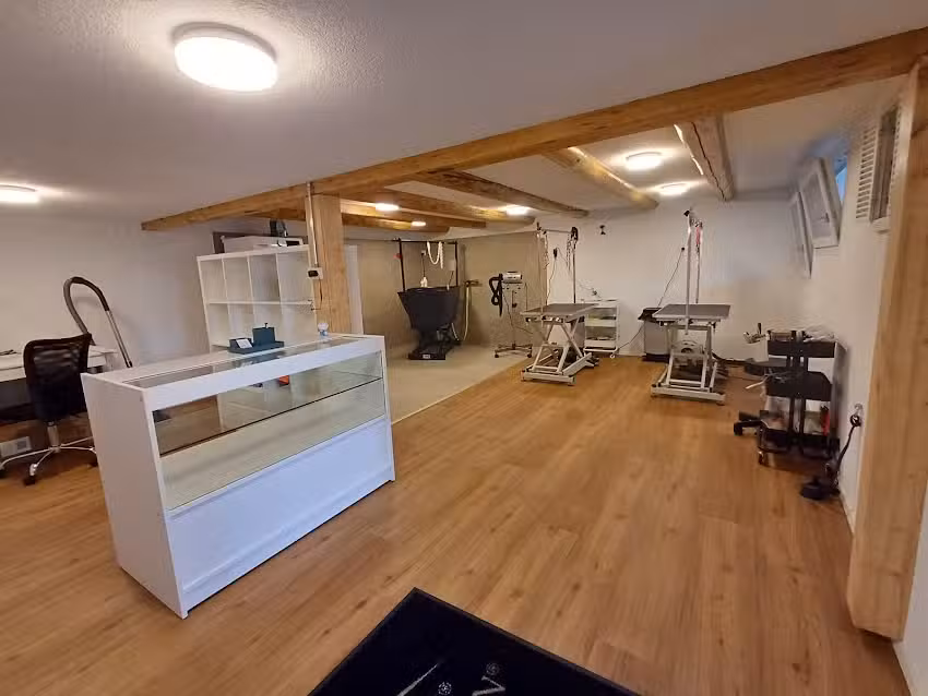 Salone di toelettatura per cani Fellart