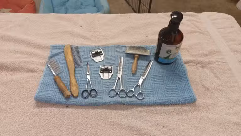 Salone di toelettatura per cani in armonia