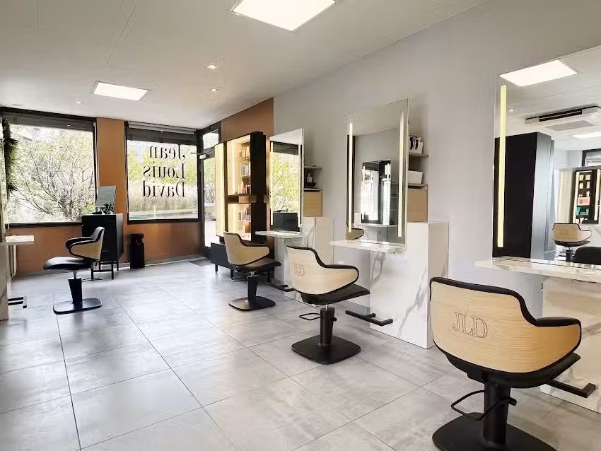 JEAN LOUIS DAVID VERSOIX