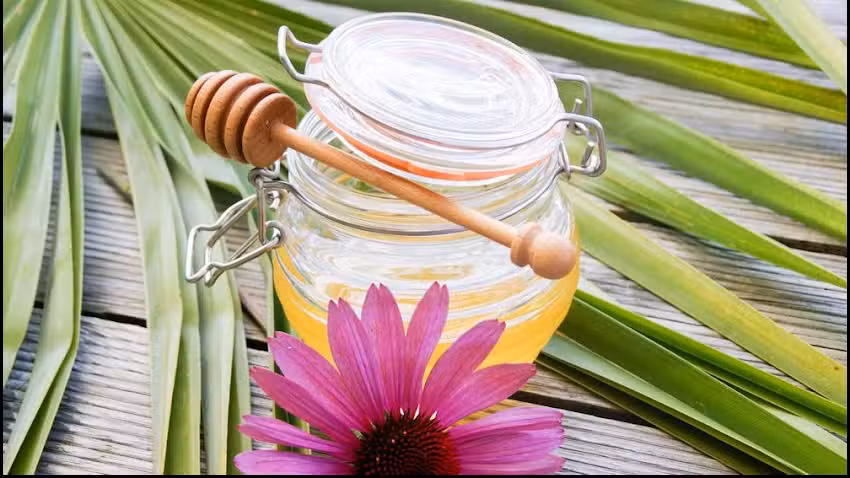 Karins Sch&ouml;nzeit