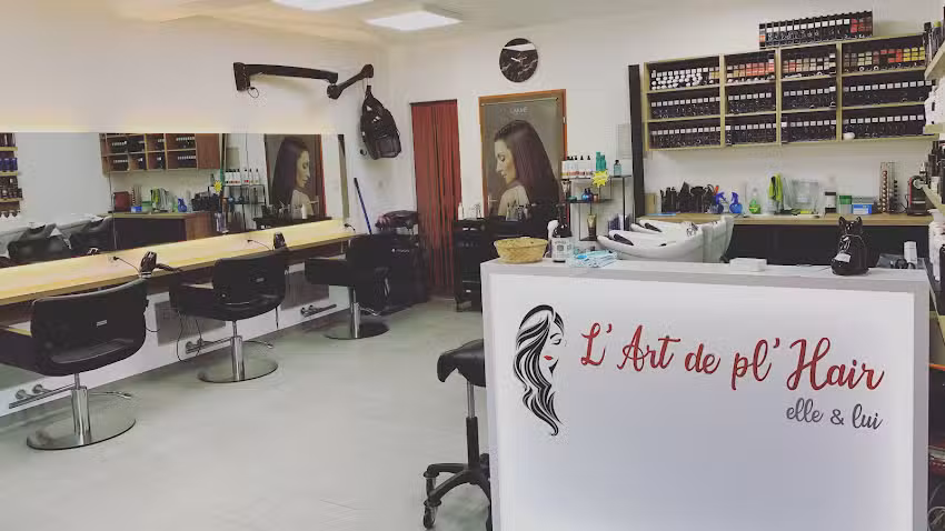 L&rsquo;art de pl&rsquo;Hair