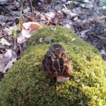 L&rsquo;Hair du temps