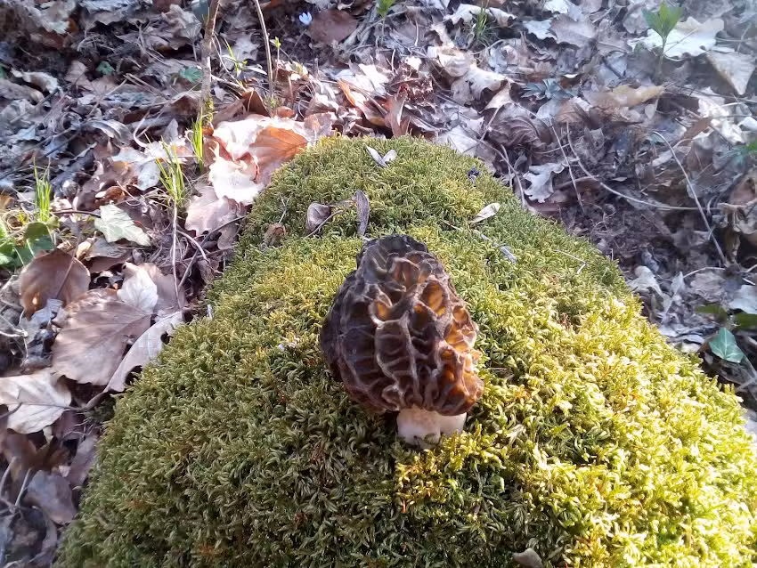 L&rsquo;Hair du temps