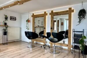 L&rsquo;IND&Eacute;CISE- Delphine Philipona