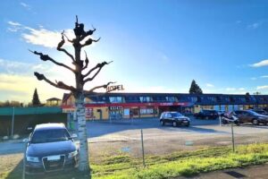 lacostyle coiffure, M&auml;der Ingrid &ndash; Avenches