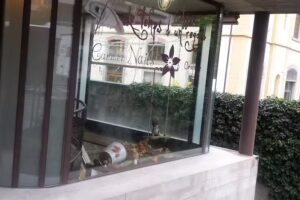 Le Temps d&rsquo;un regard