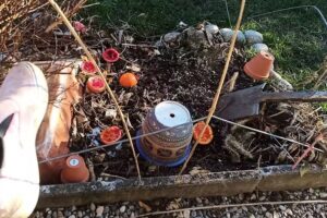 Leticia&rsquo;s Hair Lounge