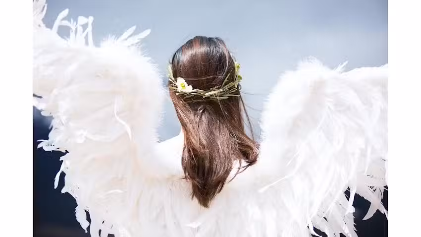 Nicole Beck, Nicole&rsquo;s Hair-Shop