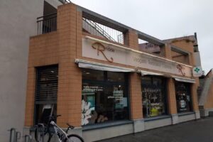 Coiffure R&rsquo;mode