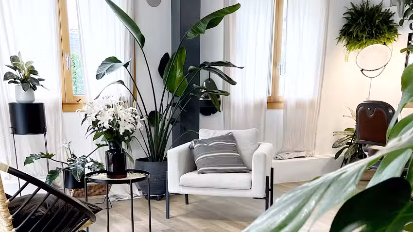 Salon de Beaut&eacute; Julien Charri&egrave;re