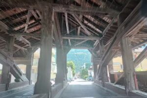 Salon de coiffure Cat ‚ Création