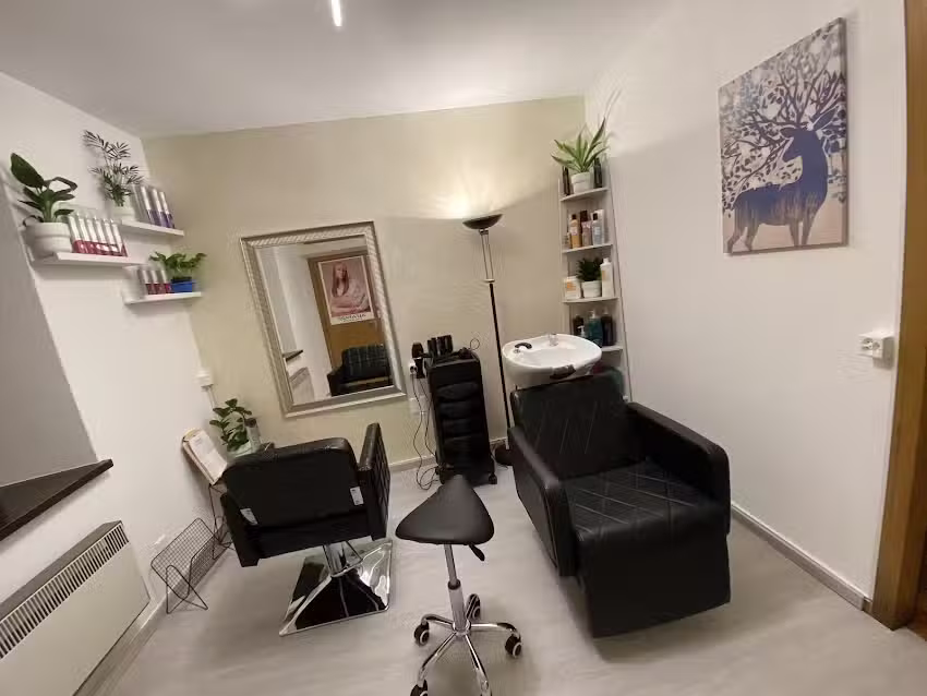 Salone Alto Malcantone 8.1