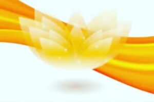 Shine Coiffure &ndash; Beauty Center