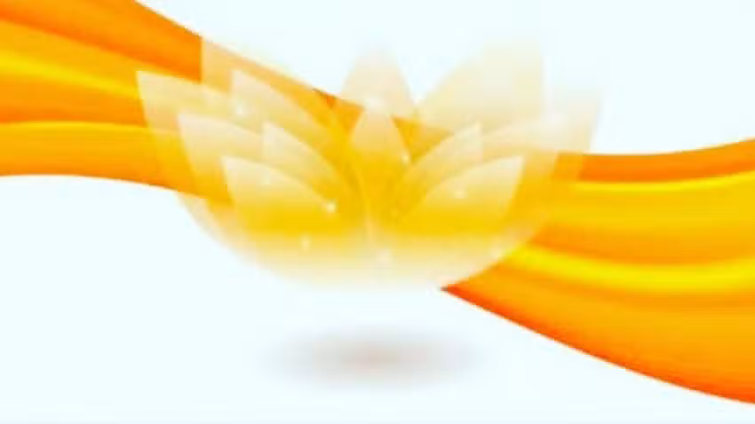 Shine Coiffure &ndash; Beauty Center