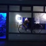 stie&rsquo;s coiffure