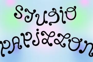 Studio Papillon &ndash; Lausanne