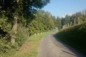 Acconciatura simpatica