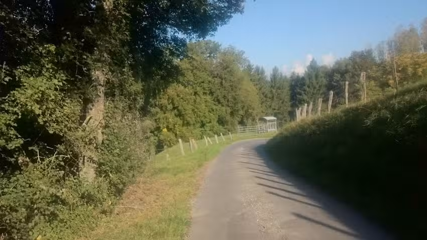 Acconciatura simpatica